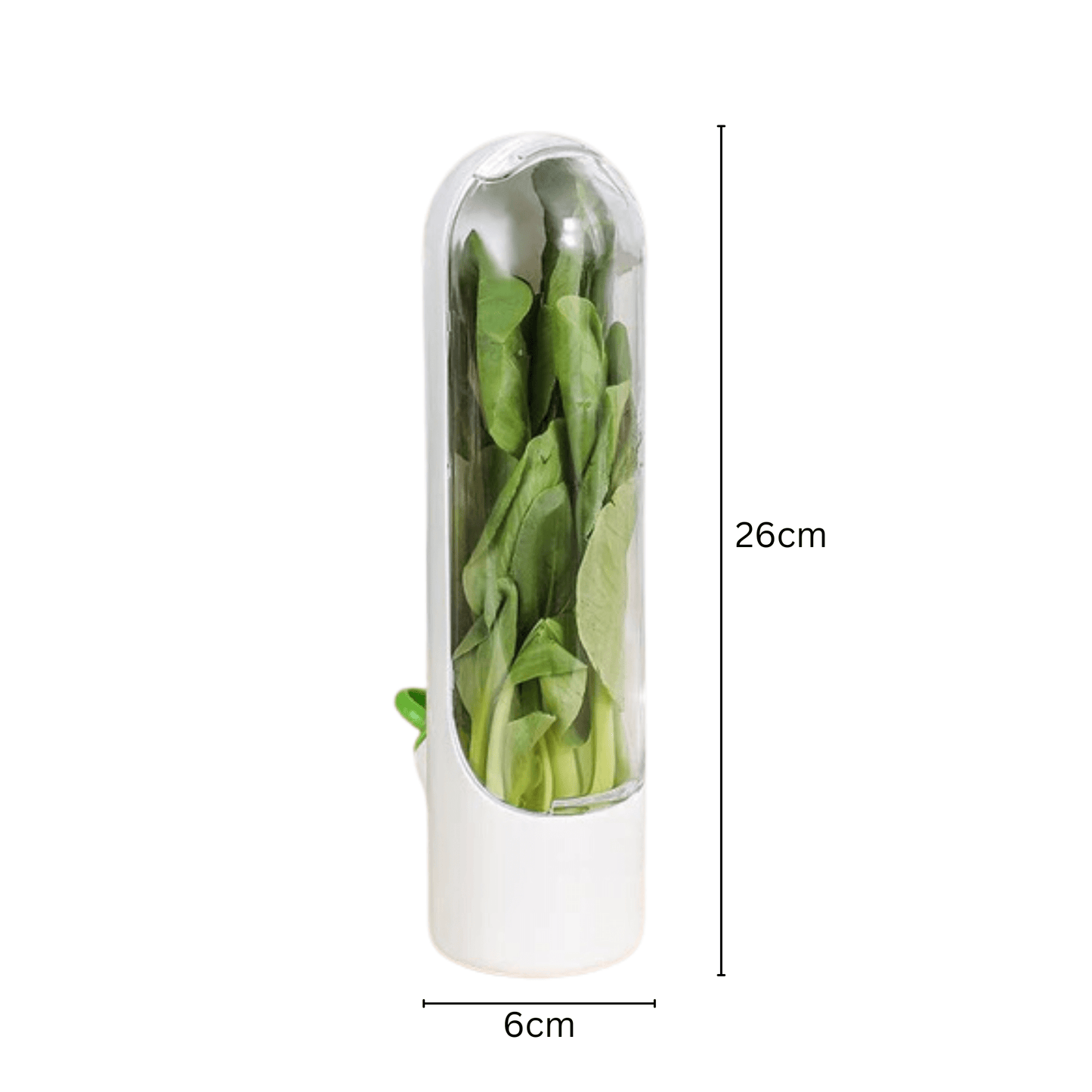 Fresh Herb Keeper Vegetable Storage Container