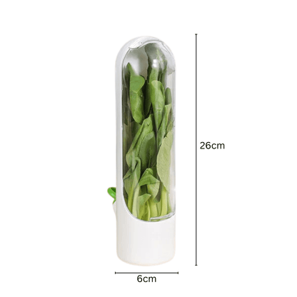 Fresh Herb Keeper Vegetable Storage Container