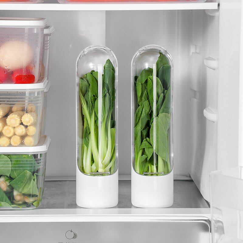 Fresh Herb Keeper Vegetable Storage Container