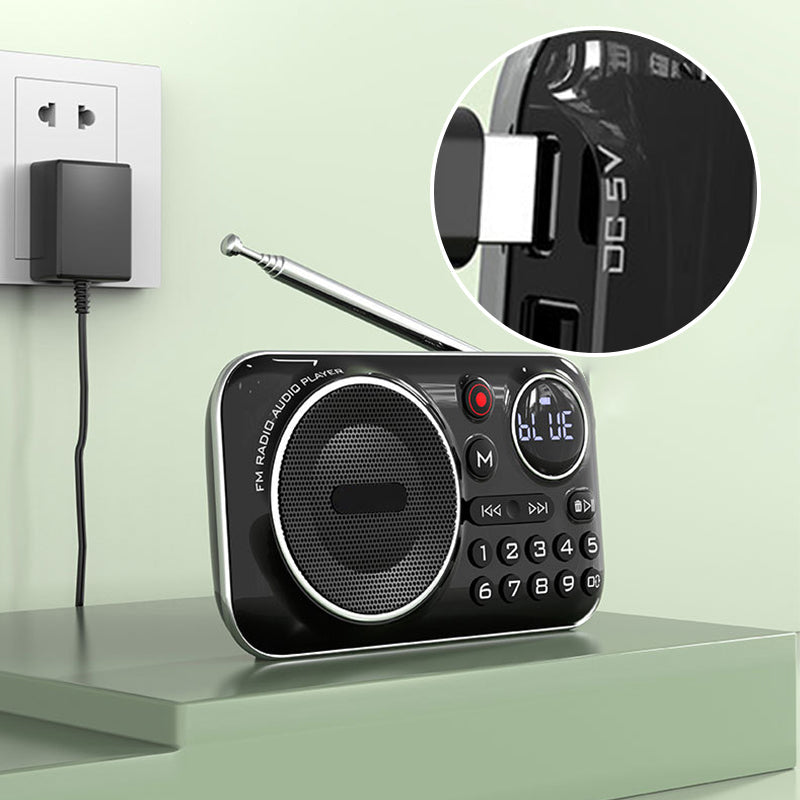 Multifunktionell bärbar Bluetooth-radio och inspelare