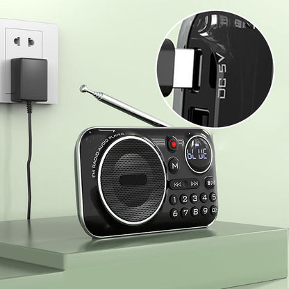 Multifunktionell bärbar Bluetooth-radio och inspelare