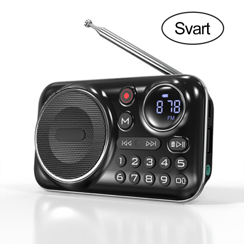 Multifunktionell bärbar Bluetooth-radio och inspelare